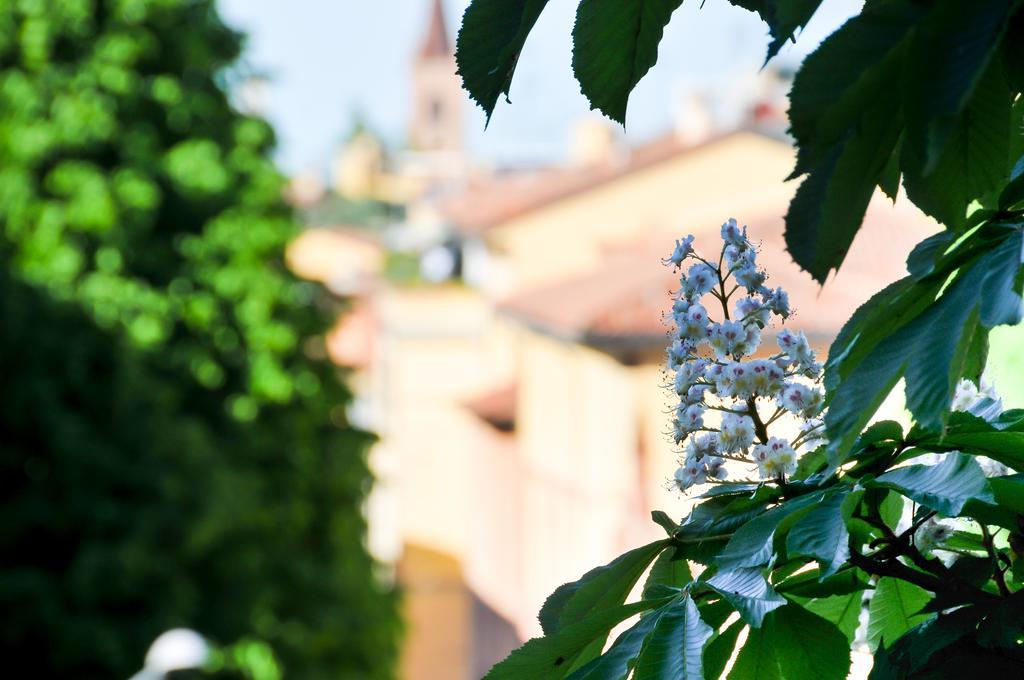 B&B Al Parco Giardini Margherita Bologna Esterno foto